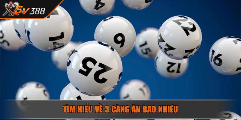 Tìm hiểu 3 càng ăn bao nhiêu