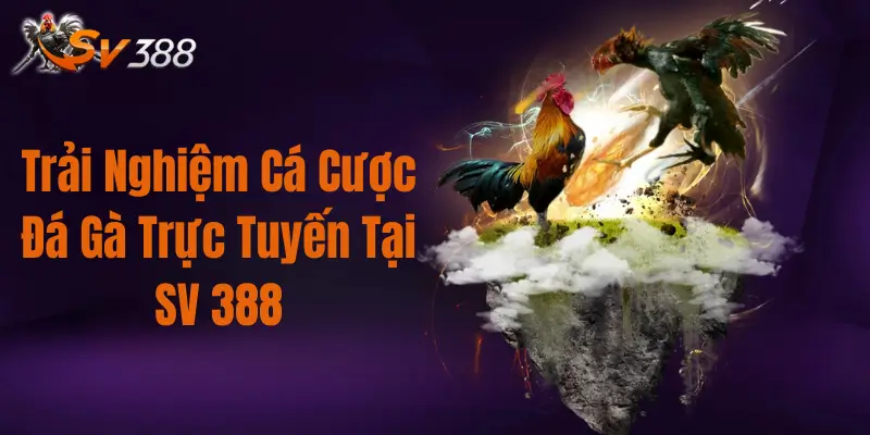 alt="Trải Nghiệm Cá Cược Đá Gà Trực Tuyến Tại SV388"