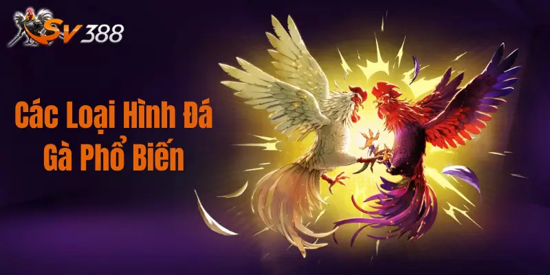 alt="Các Loại Hình Đá Gà Phổ Biến"