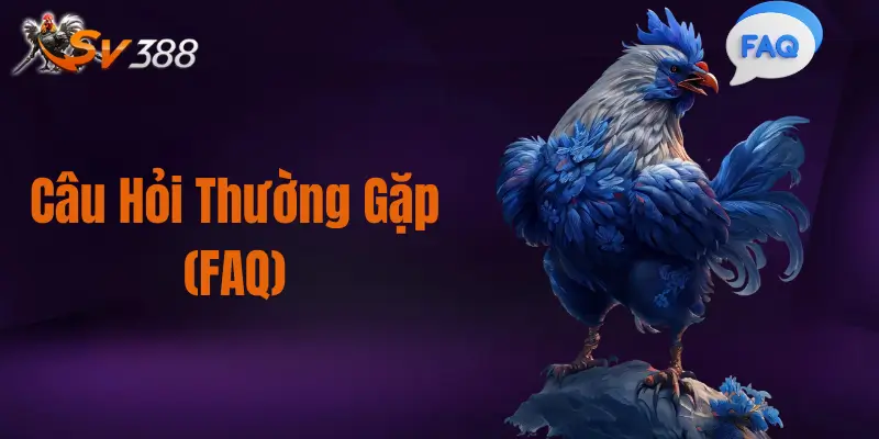 alt="Câu Hỏi Thường Gặp (FAQ)"
