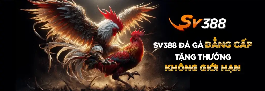 Thiet ke chua co ten 58