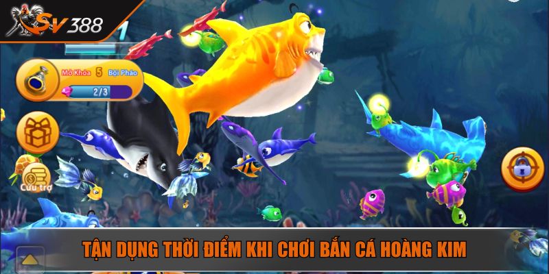 Tận dụng thời điểm khi chơi bắn cá Hoàng Kim