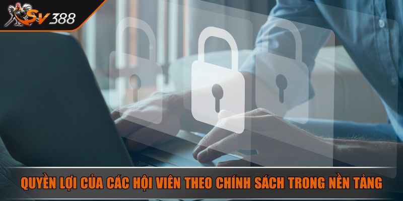 Quyền lợi của các hội viên theo chính sách trong nền tảng