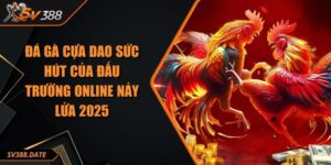 Đá Gà Cựa Dao Sức Hút Của Đấu Trường Online Nảy Lửa 2025