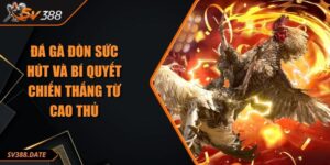 Đá Gà Đòn Sức Hút Và Bí Quyết Chiến Thắng Từ Cao Thủ