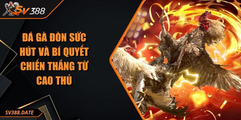 Đá Gà Đòn Sức Hút Và Bí Quyết Chiến Thắng Từ Cao Thủ