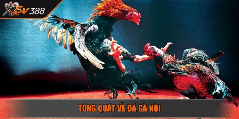 Tổng quát về đá gà nòi
