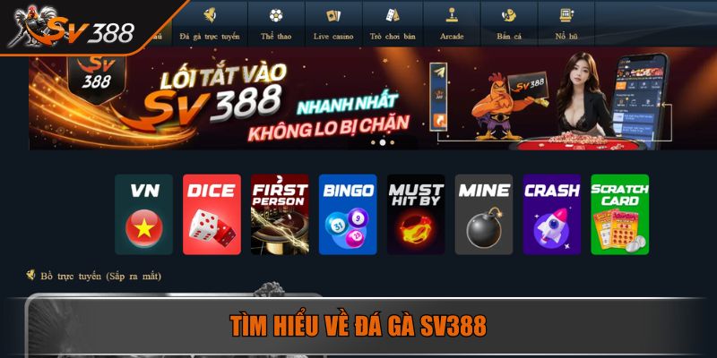 Tìm hiểu về đá gà SV388