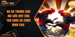 Đá Gà Thomo Giải Mã Sức Hút Của Trò Chơi Cá Cược Đỉnh Cao