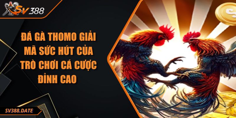 Đá Gà Thomo Giải Mã Sức Hút Của Trò Chơi Cá Cược Đỉnh Cao