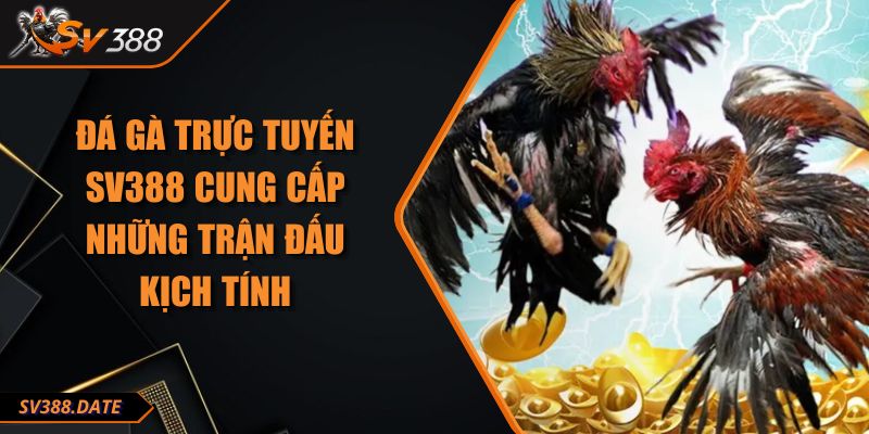 Đá Gà Trực Tuyến SV388 Cung Cấp Những Trận Đấu Kịch Tính