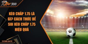 Kèo Chấp 1.75 Là Gì? Cách Thức Để Soi Kèo Chấp 1.75 Hiệu Quả